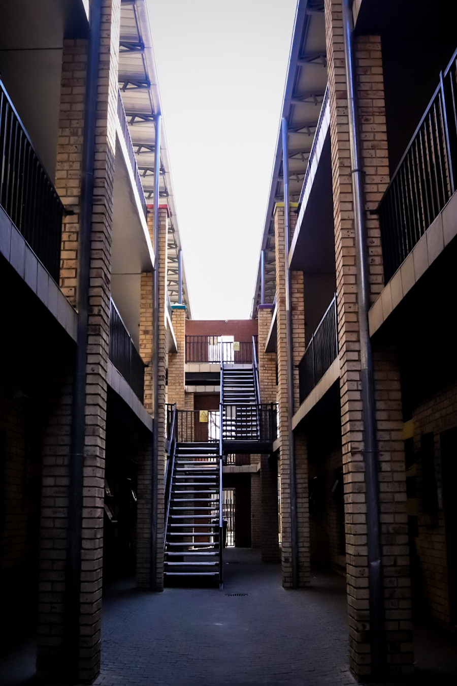 Arabella image 4